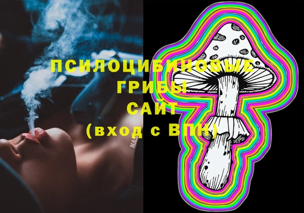 2c-b Горняк