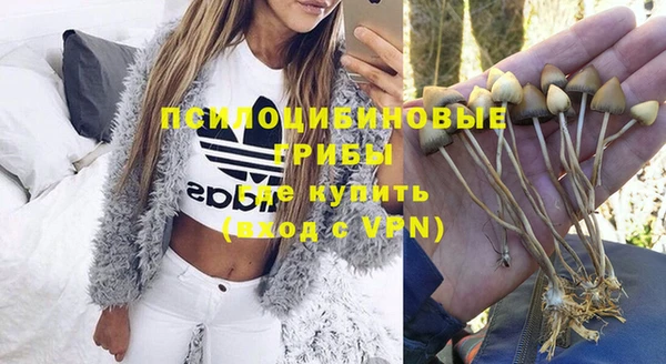 герыч Горнозаводск