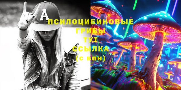герыч Горнозаводск