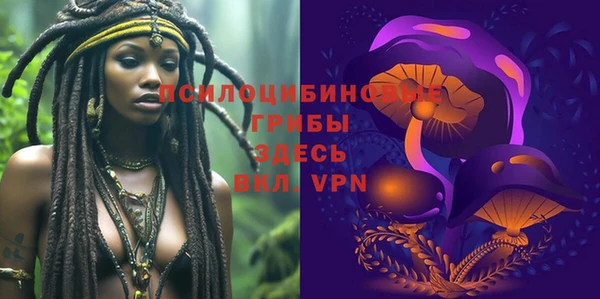 2c-b Горняк