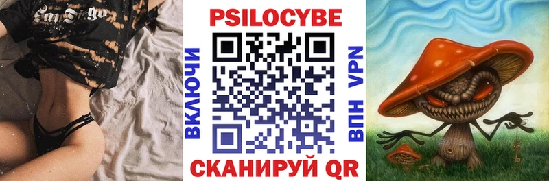 Купить закладки  Корсаков  Псилоцибиновые грибы Psilocybine cubensis 